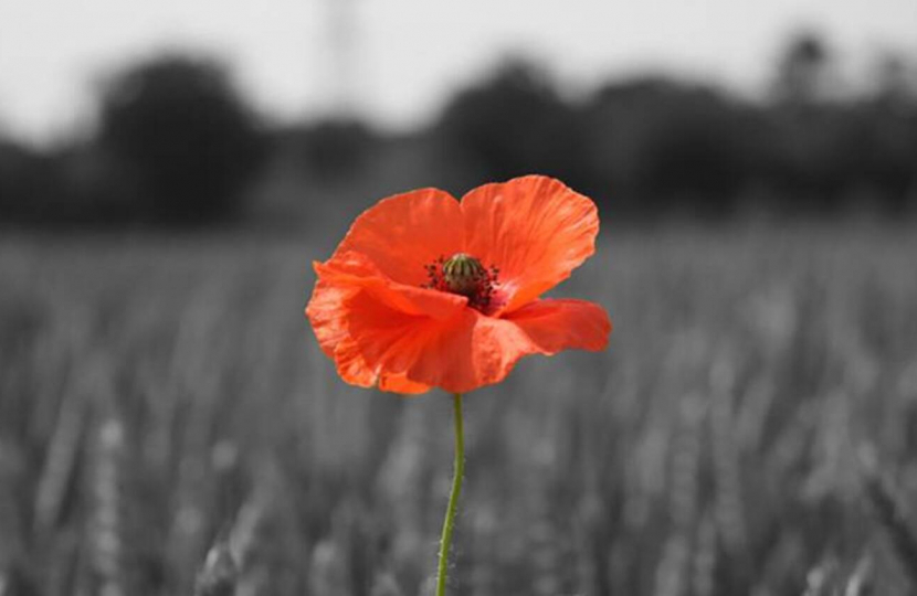 A lone red poppy stands tall in a field which is black and white.